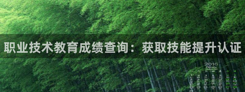 ag亚洲游戏国际平台|职业技术教育成绩查询：获取技能提升认证